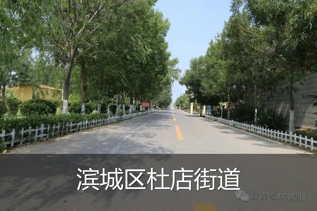 滨城区杜店街道
