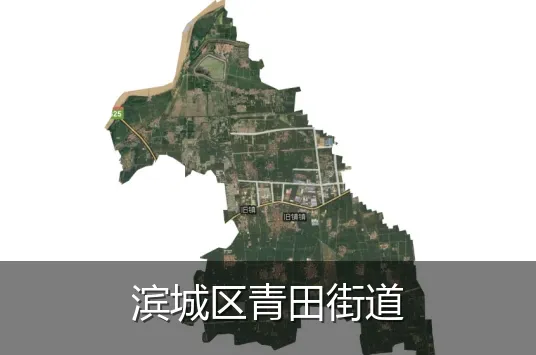 滨城区青田街道
